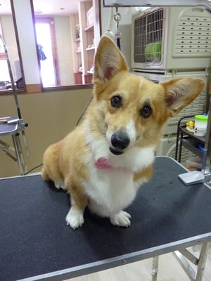 ミミちゃん❤緊張してたけど頑張ってくれました！