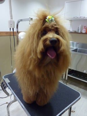 ミックちゃん❤