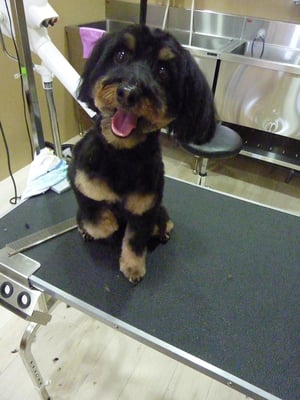 りんたろうちゃん❤