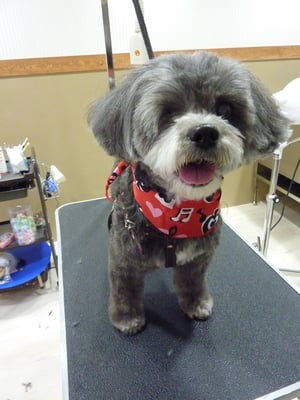 まいちゃん❤今日も頑張ったね!サッパリしました~(*^_^*)