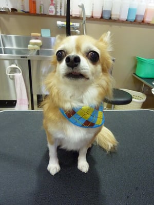 リックちゃん❤いつもびっくり顔です笑