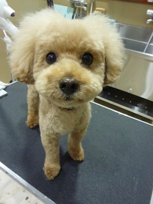 クッキーちゃん❤