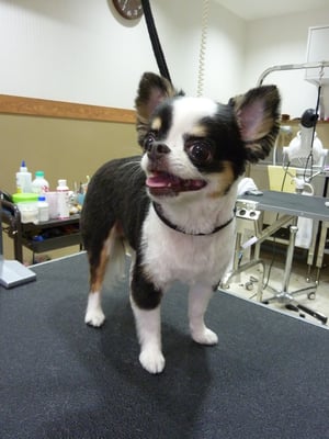 さくらちゃん❤