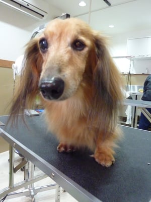 セイヤちゃん❤