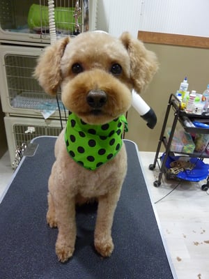 ここあちゃん❤今日も元気いっぱいなのだ！