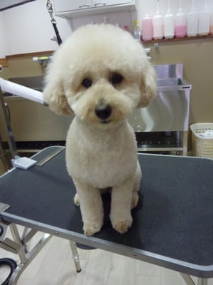 チャコちゃん♡