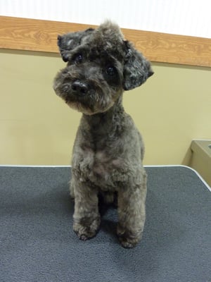 福°助ちゃん❤