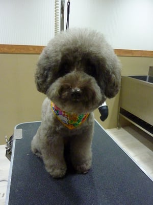 ポルンちゃん❤