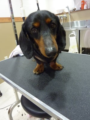 ドンキーちゃん♪