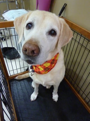 マロンちゃん❤お年なんですが元気いっぱい！！