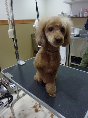 マリーちゃん❤