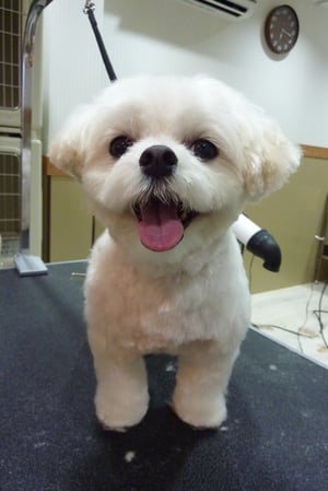 リリちゃん❤新居に引っ越ししたばかり❤