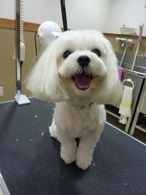 さくらちゃん❤ご飯ちゃんと食べるんだよ~(^_^;)