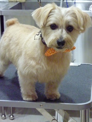 ジャムちゃん❤