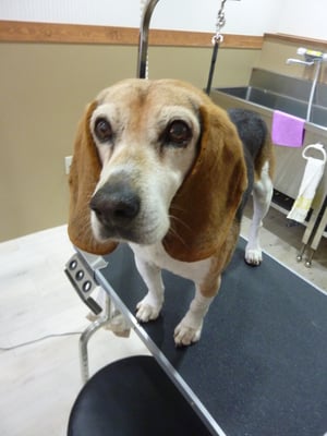 いっきゅうちゃん❤