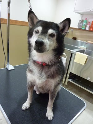 ヒメちゃん❤ほんといい子だね❤