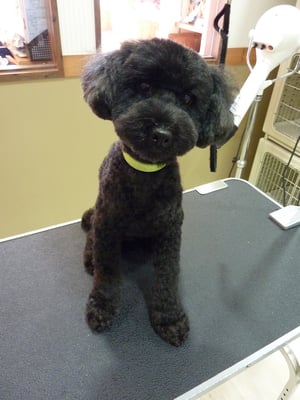 COCOちゃん❤冬に向けて足先伸ばします☆