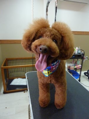 コロンちゃん♡