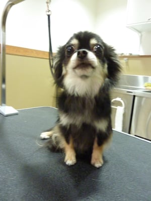 イチゴちゃん❤