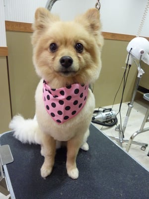 すももちゃん❤