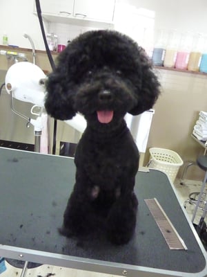 ココアちゃん❤