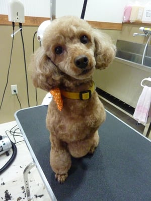 マリーちゃん❤一番元気!?だったね☆