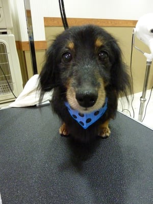 ミントちゃん❤ホント童顔だね❤