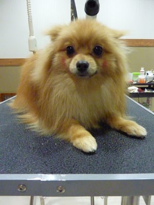 雷太ちゃん❤ほっぺのチークがお気に入り~❤