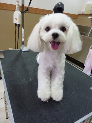 さくらちゃん❤