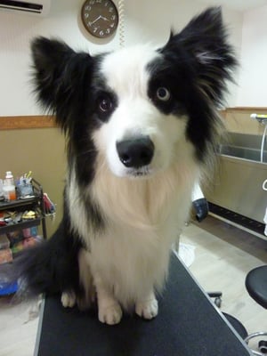 ジャックちゃん❤