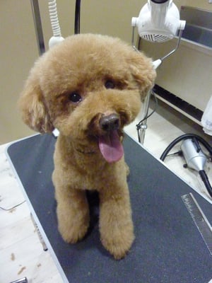 くぅちゃん❤いつもボルトちゃんと仲良し☆