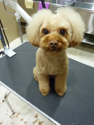 ぽんずのすけちゃん❤