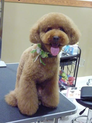 ボルトちゃん❤