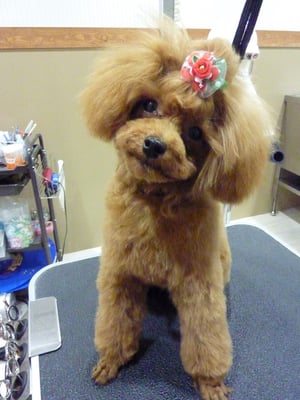 ぐりこちゃん♡