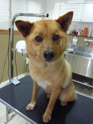 コペルニクスちゃん❤