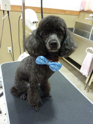 クロちゃん❤3人の中で一番マイペースなんだとか ( ˉ ꈊ ˉ)