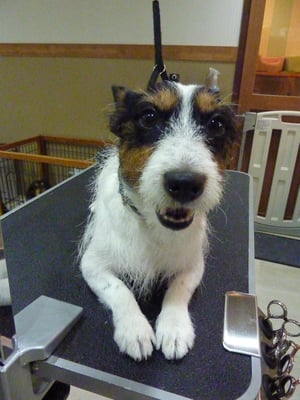 ジャックちゃん❤お行儀よく笑顔でパシャリ☆