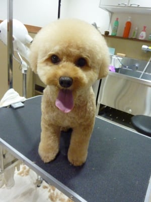 恋ちゃん❤頭がまぁるくなってきた！