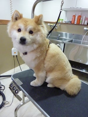 ハッピーちゃん❤