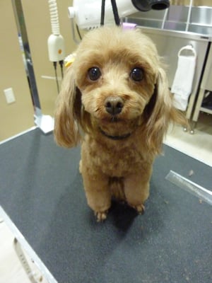 ここあちゃん♪