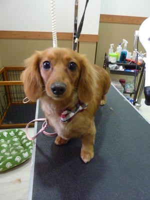 キララちゃん♡