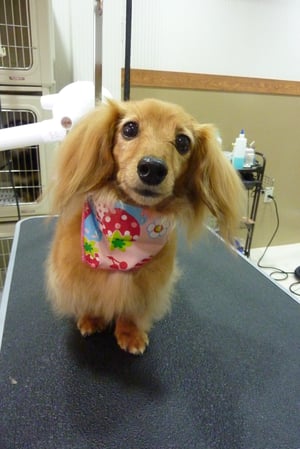 じゅりちゃん❤