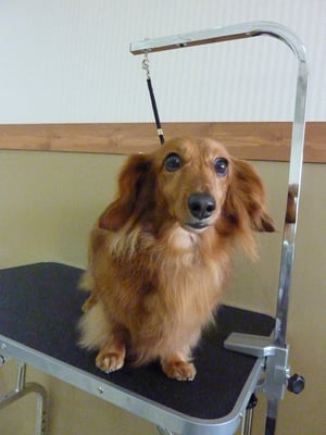 マロンちゃん❤