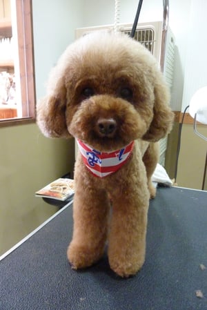 こころちゃん❤