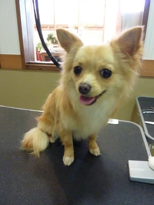 きなたちゃん♡