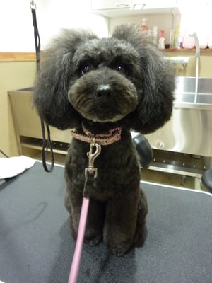 ミントちゃん❤