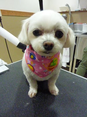 ミルクちゃん❤