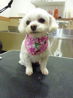 ミルクちゃん❤