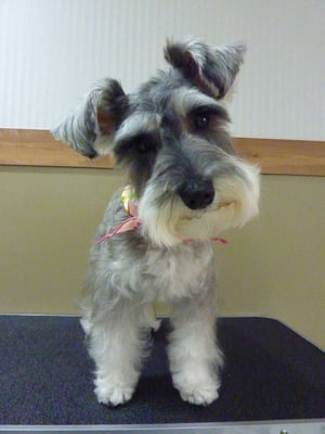 ローズちゃん❤