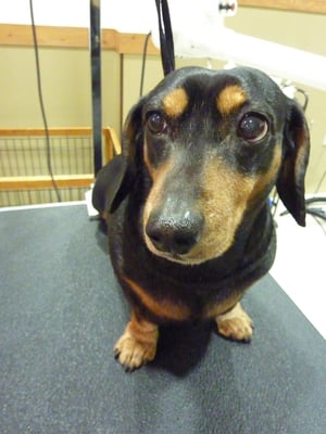 トーヤちゃん❤